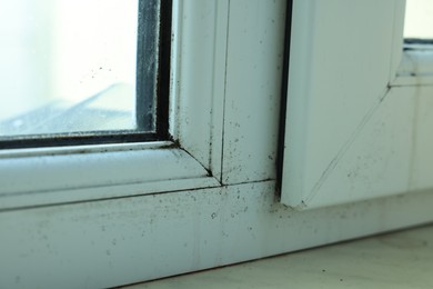 Photo of Window affected with black mold indoors, closeup view