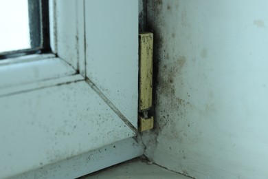 Window affected with black mold indoors, closeup view