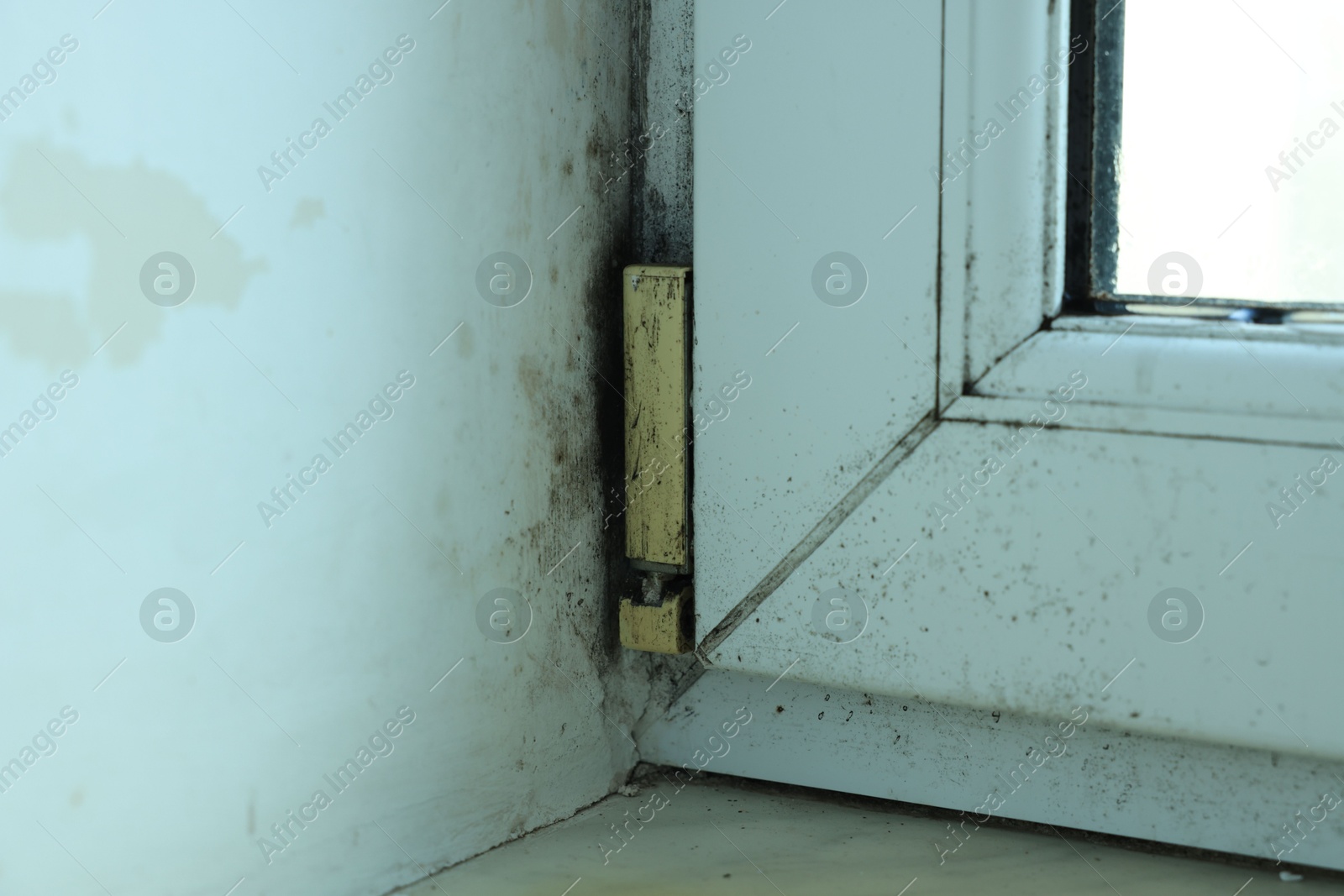 Photo of Window affected with black mold indoors, closeup view