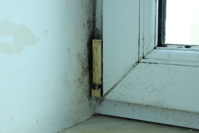 Photo of Window affected with black mold indoors, closeup view