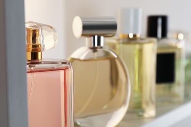 Different bottles of luxury perfume on shelf in store, closeup