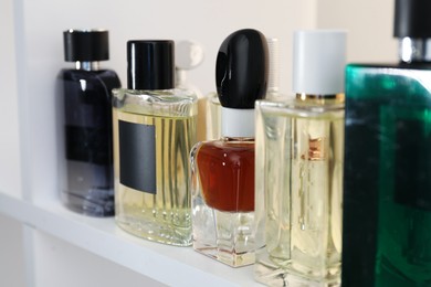 Photo of Different bottles of luxury perfume on shelf in store, closeup