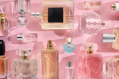 Photo of Bottles of various perfumes on pink background, flat lay