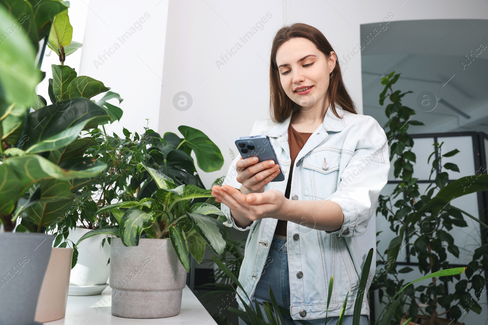 Photo of Woman using houseplant recognition application on smartphone indoors