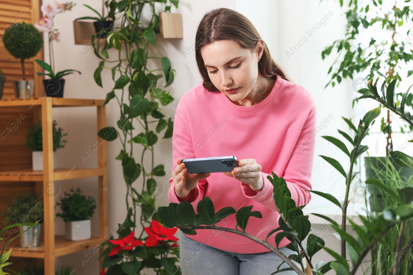 Photo of Woman using houseplant recognition application on smartphone indoors