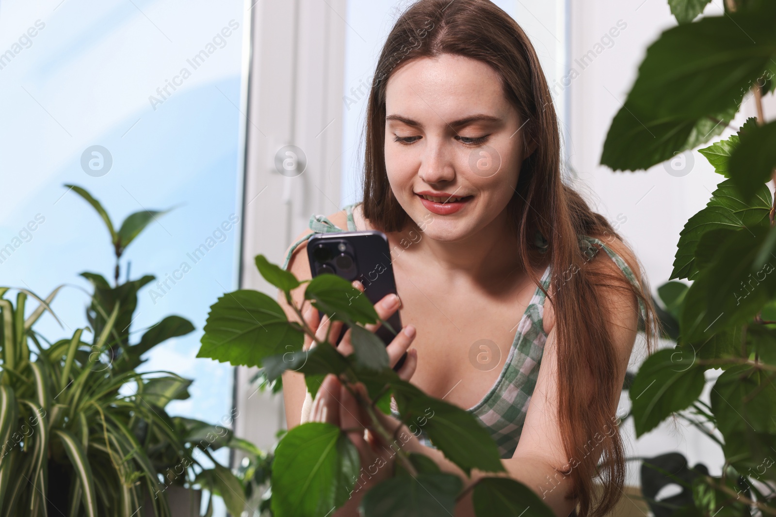 Photo of Woman using houseplant recognition application on smartphone indoors