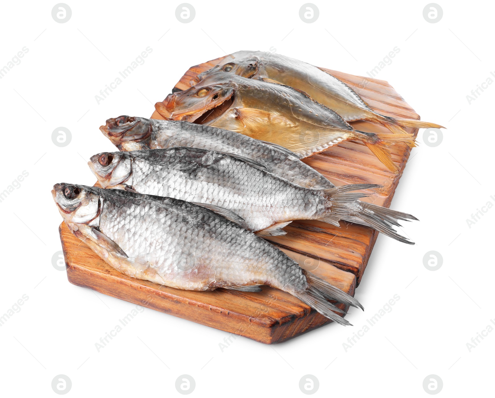 Photo of Many different dried fish isolated on white