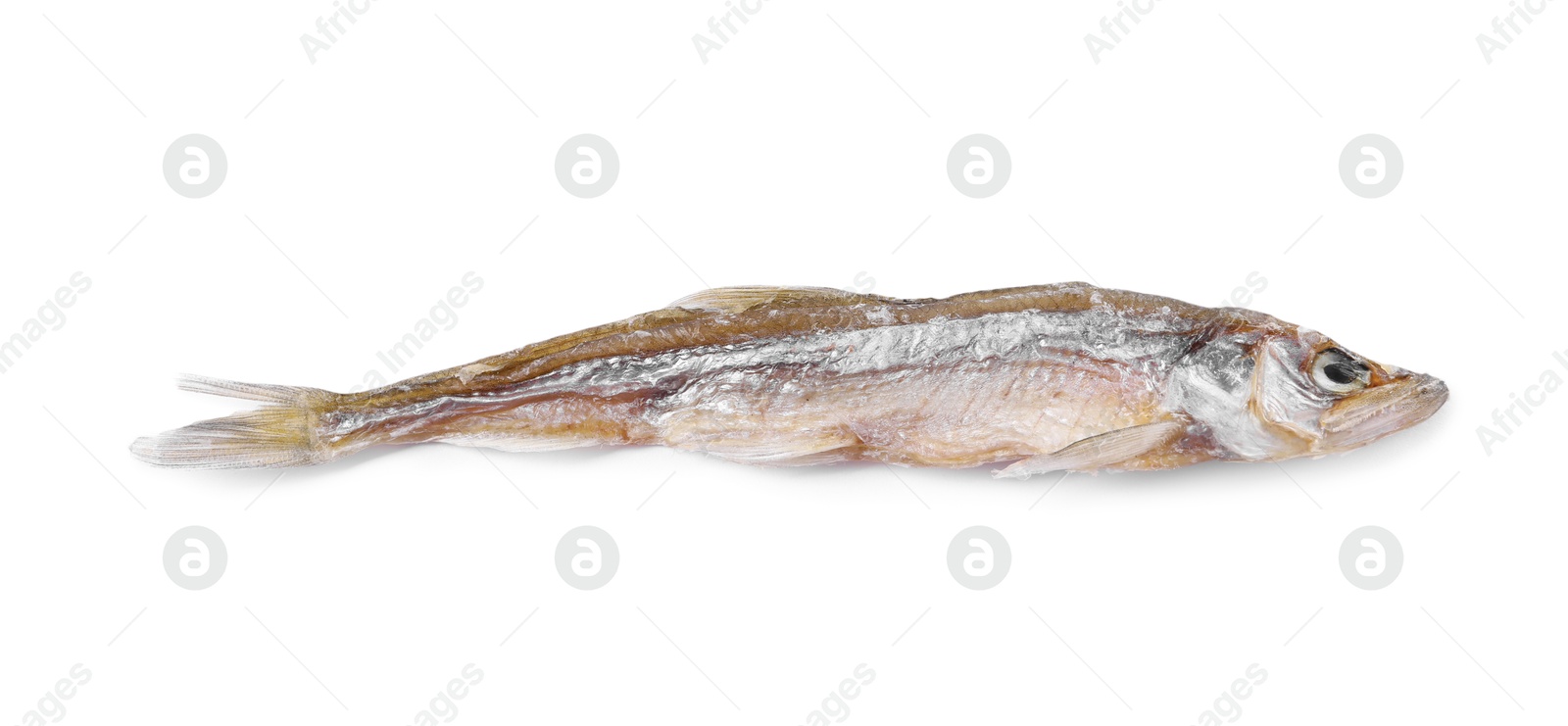 Photo of Dried salted smelt fish isolated on white