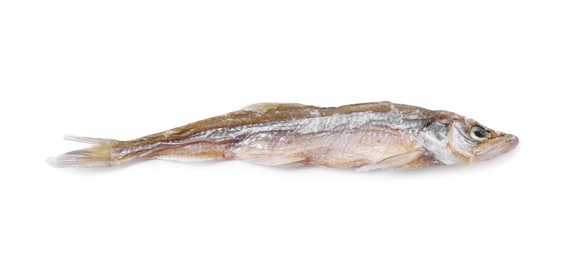 Dried salted smelt fish isolated on white