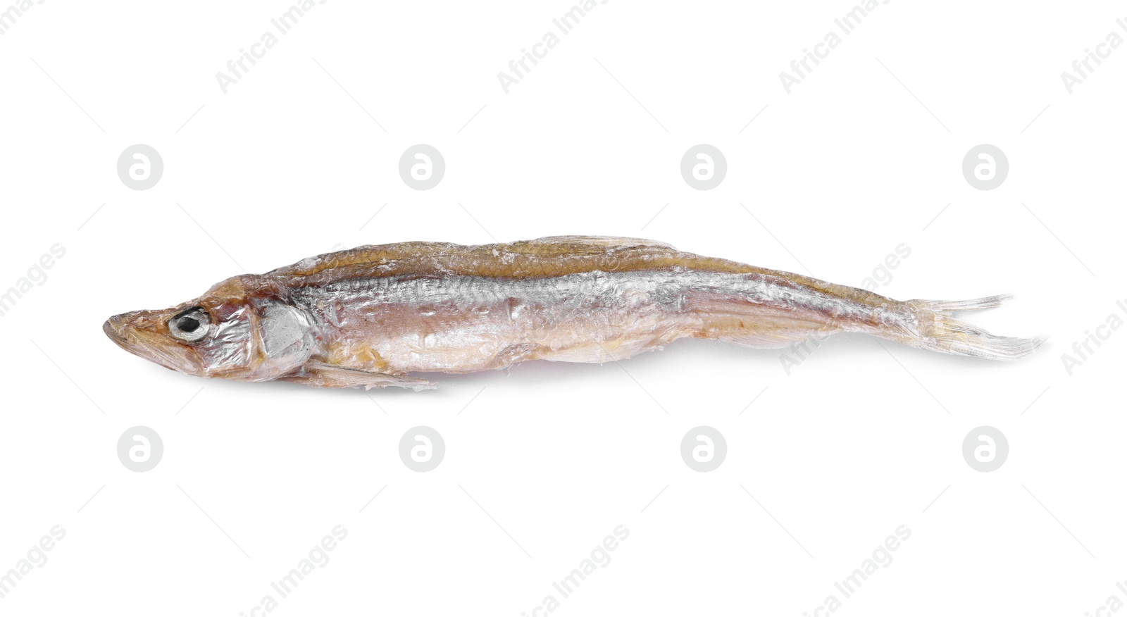 Photo of Dried salted smelt fish isolated on white