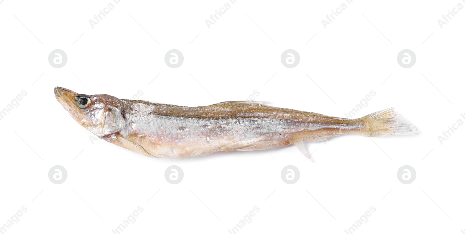 Photo of Dried salted smelt fish isolated on white