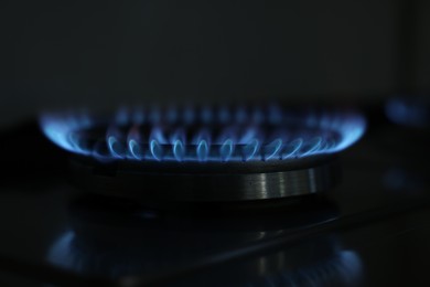 Gas burner with blue flame on stove, closeup