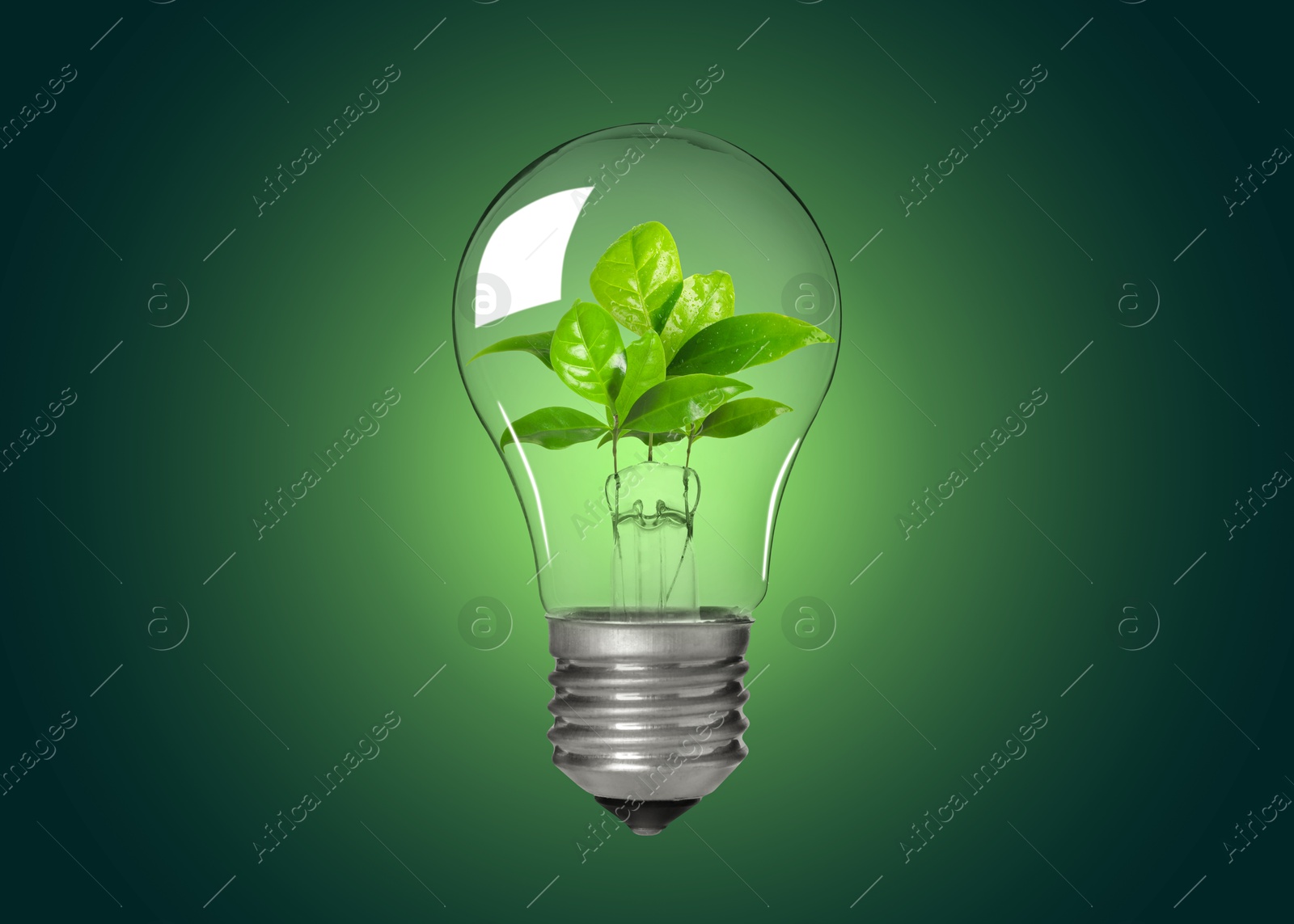 Image of Light bulb with fresh leaves inside in air on green background. Concepts of eco-friendly environment and saving energy