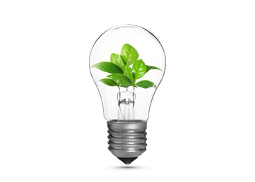 Image of Light bulb with fresh leaves inside in air on white background. Concepts of eco-friendly environment and saving energy