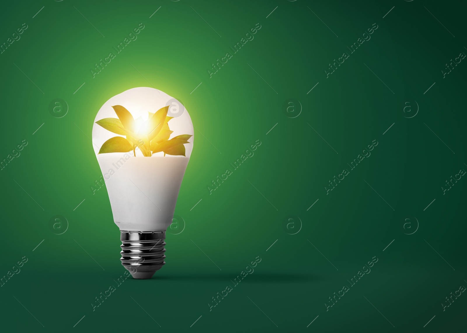 Image of Light bulb with fresh leaves inside on green background, space for text. Concepts of eco-friendly environment and saving energy