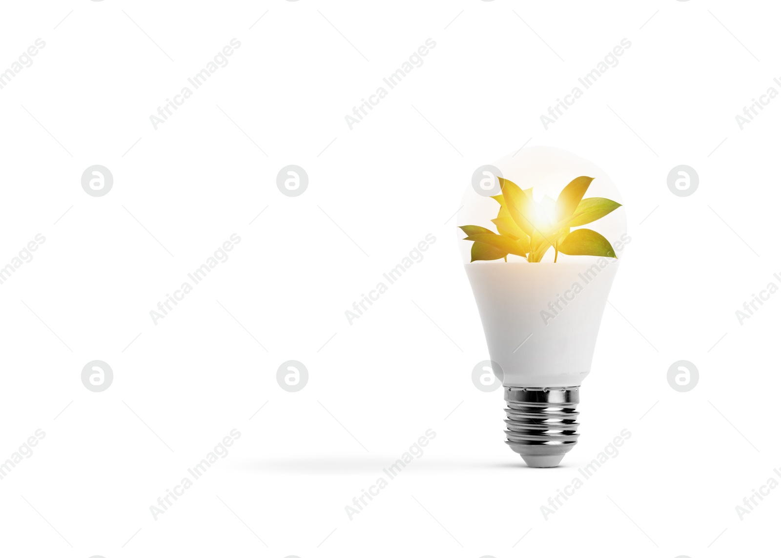 Image of Light bulb with fresh leaves inside on white background, space for text. Concepts of eco-friendly environment and saving energy