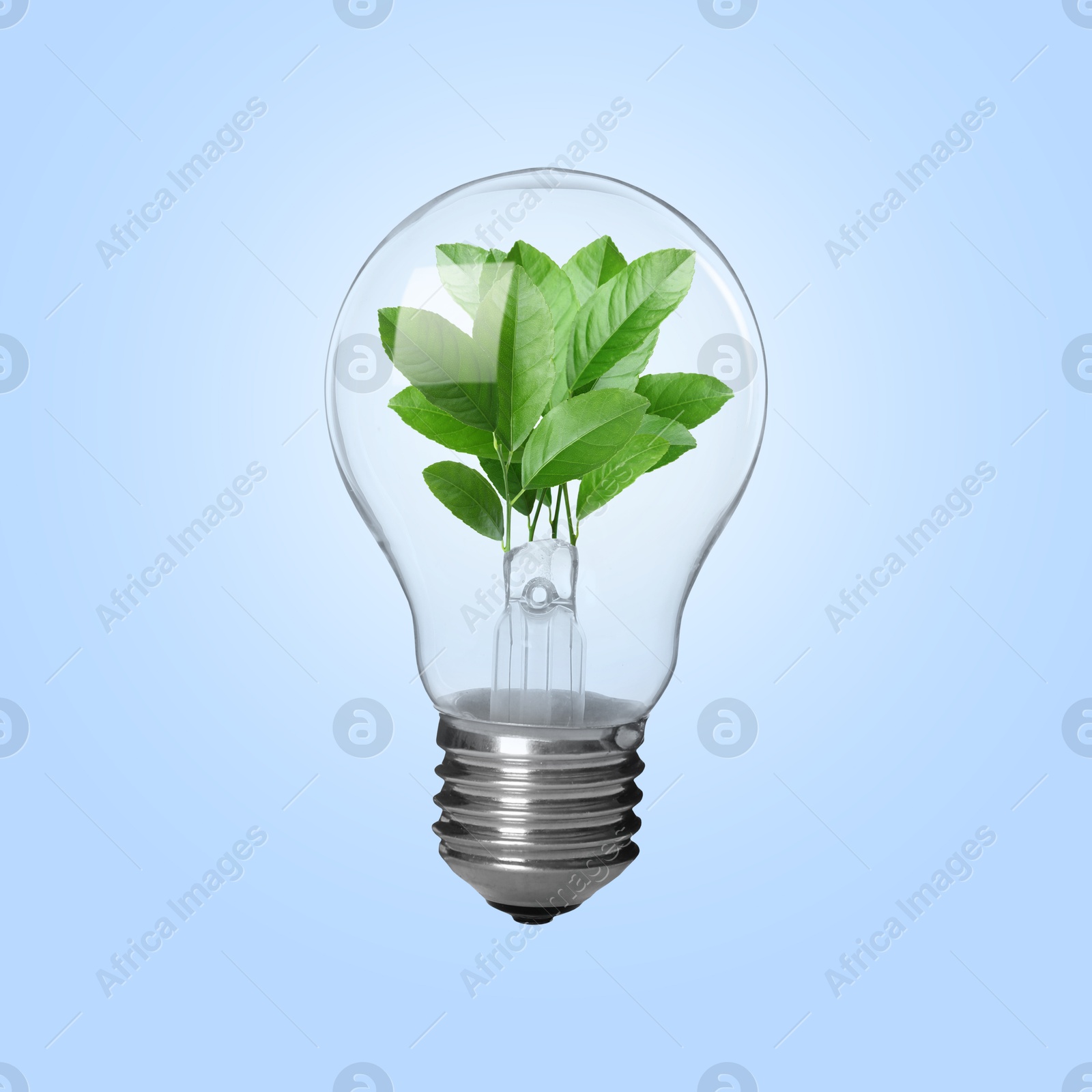 Image of Light bulb with fresh leaves inside in air on light blue background. Concepts of eco-friendly environment and saving energy