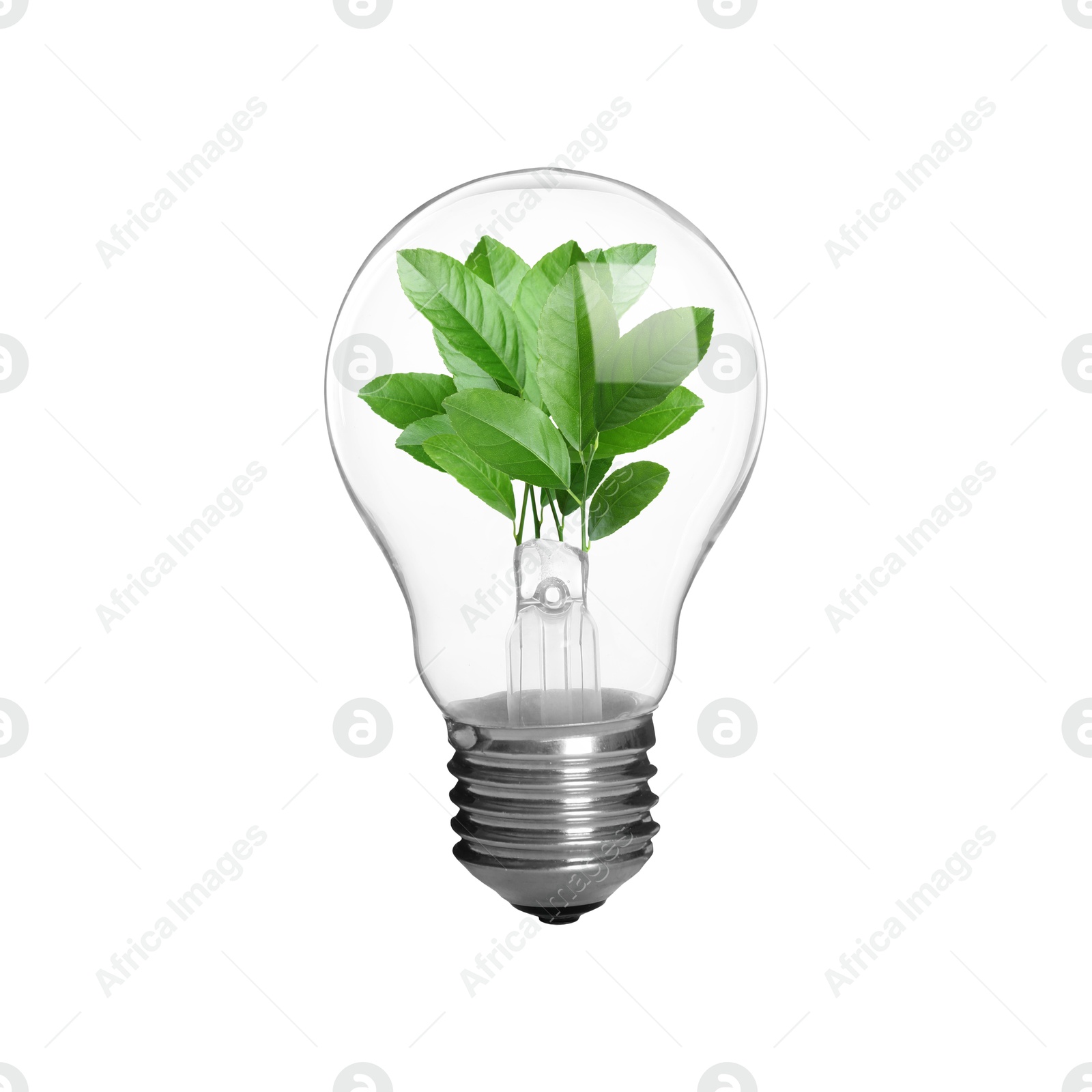 Image of Light bulb with fresh leaves inside in air on white background. Concepts of eco-friendly environment and saving energy