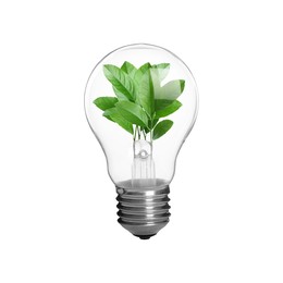 Image of Light bulb with fresh leaves inside in air on white background. Concepts of eco-friendly environment and saving energy