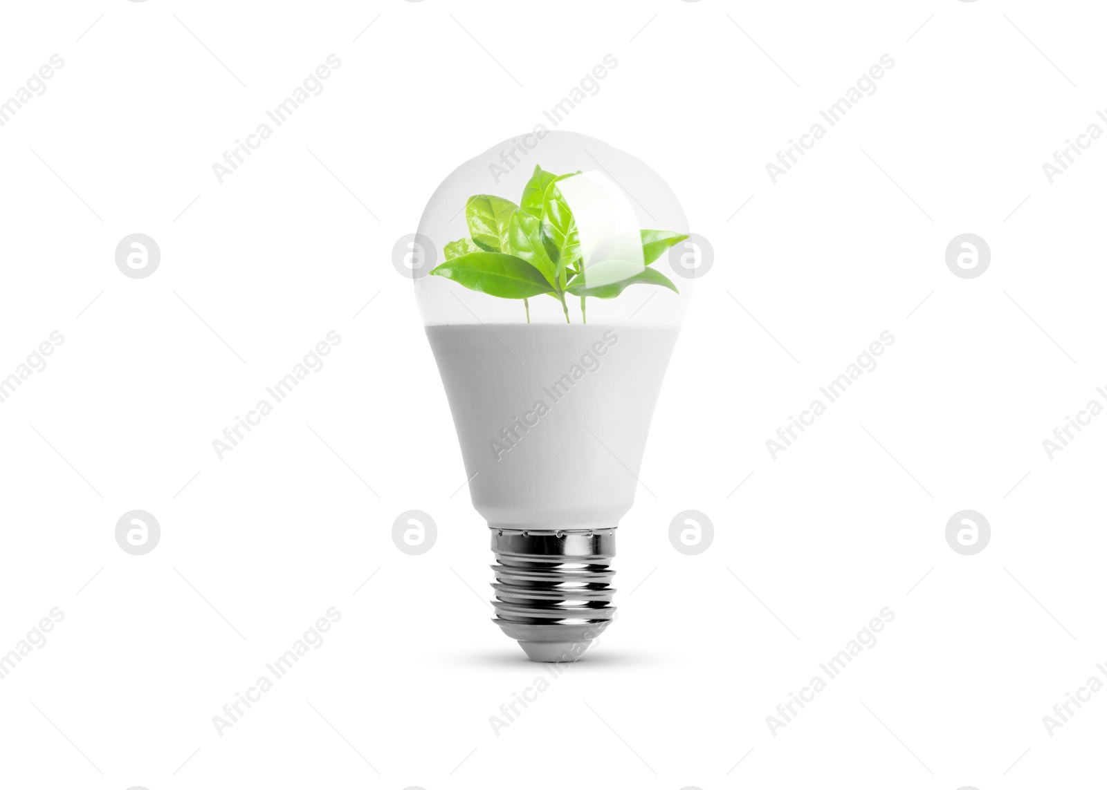 Image of Light bulb with fresh leaves inside on white background. Concepts of eco-friendly environment and saving energy