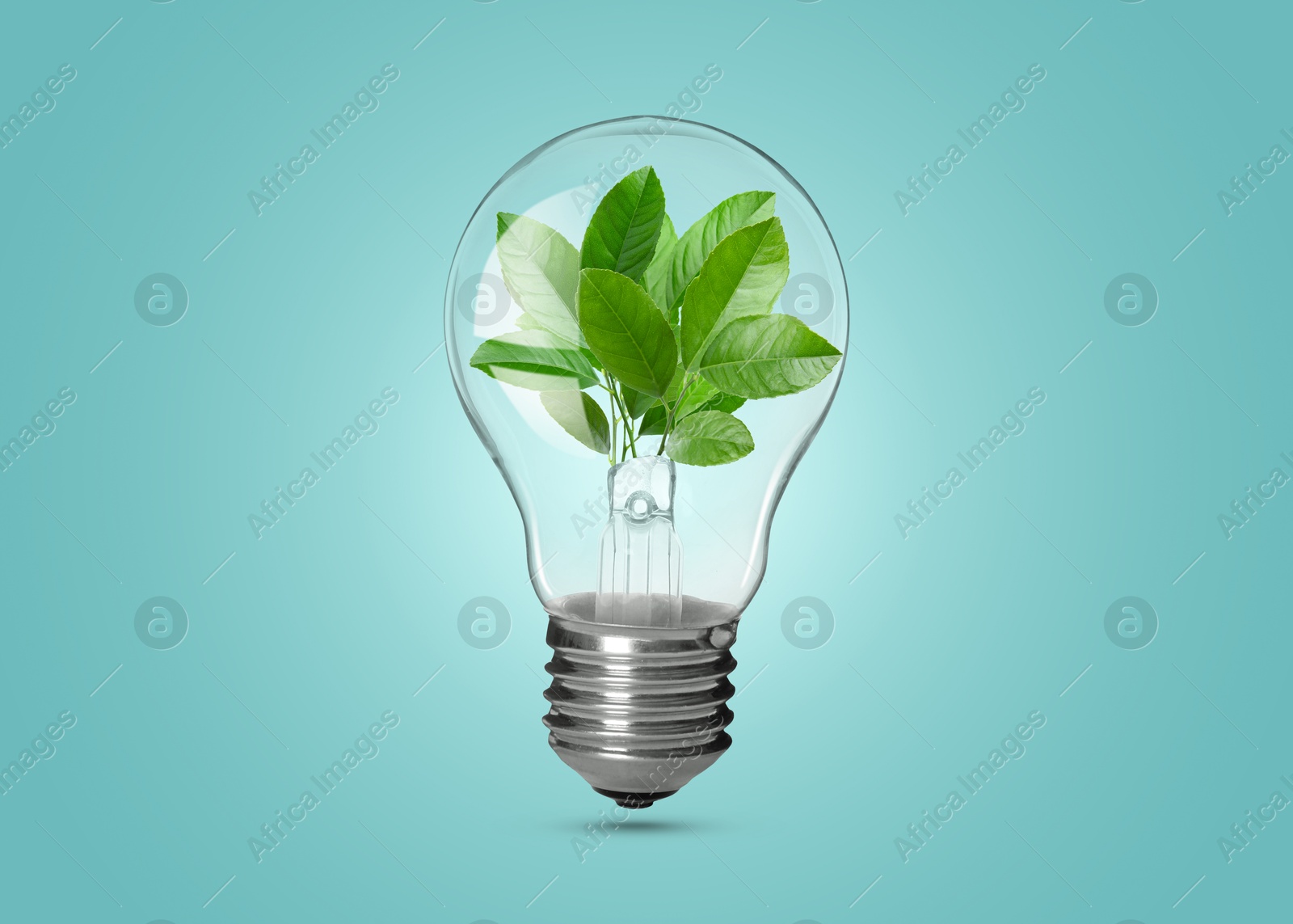 Image of Light bulb with fresh leaves inside in air on turquoise background. Concepts of eco-friendly environment and saving energy