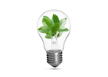 Image of Light bulb with fresh leaves inside in air on white background. Concepts of eco-friendly environment and saving energy