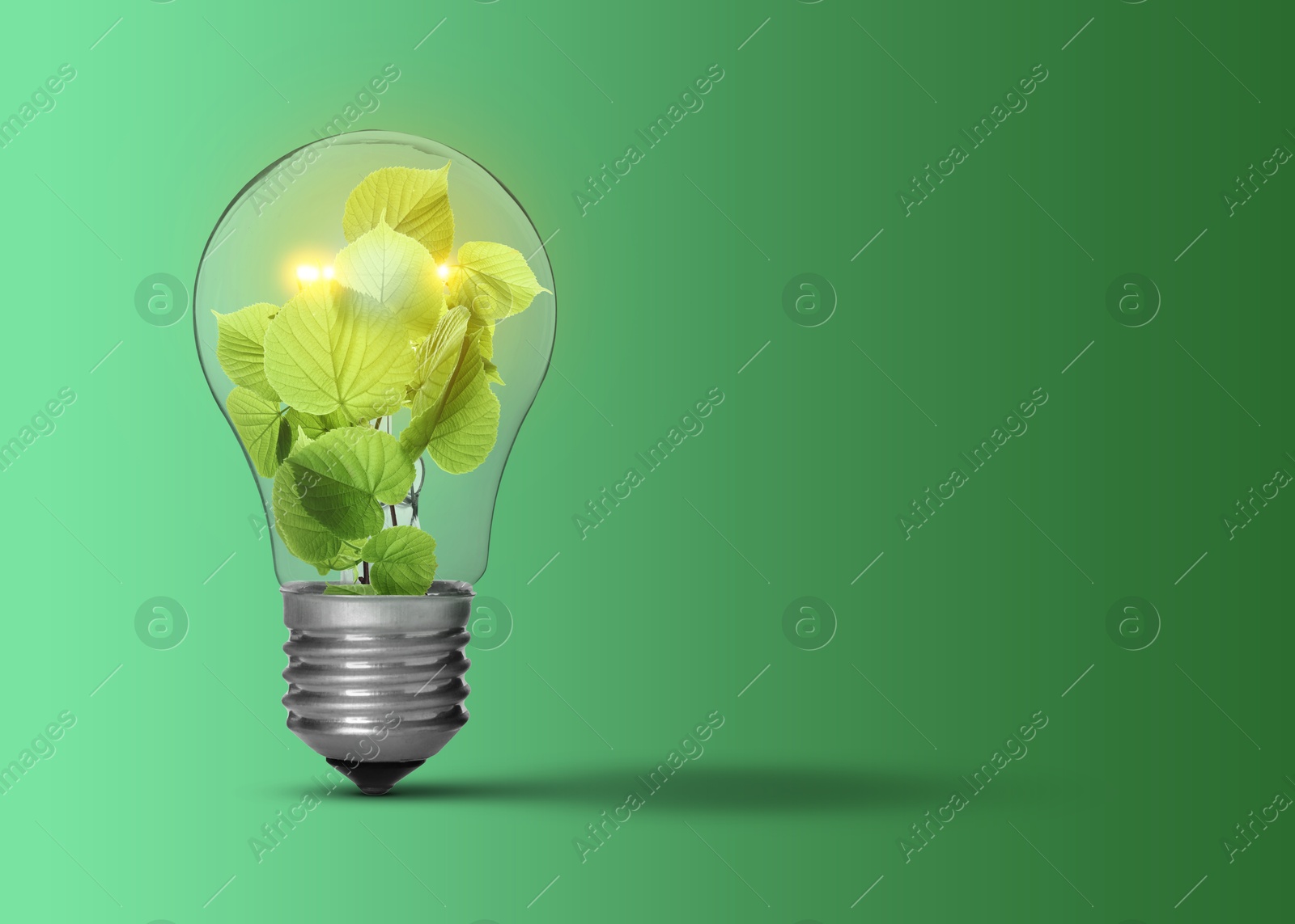 Image of Light bulb with fresh leaves inside on green background, space for text. Concepts of eco-friendly environment and saving energy