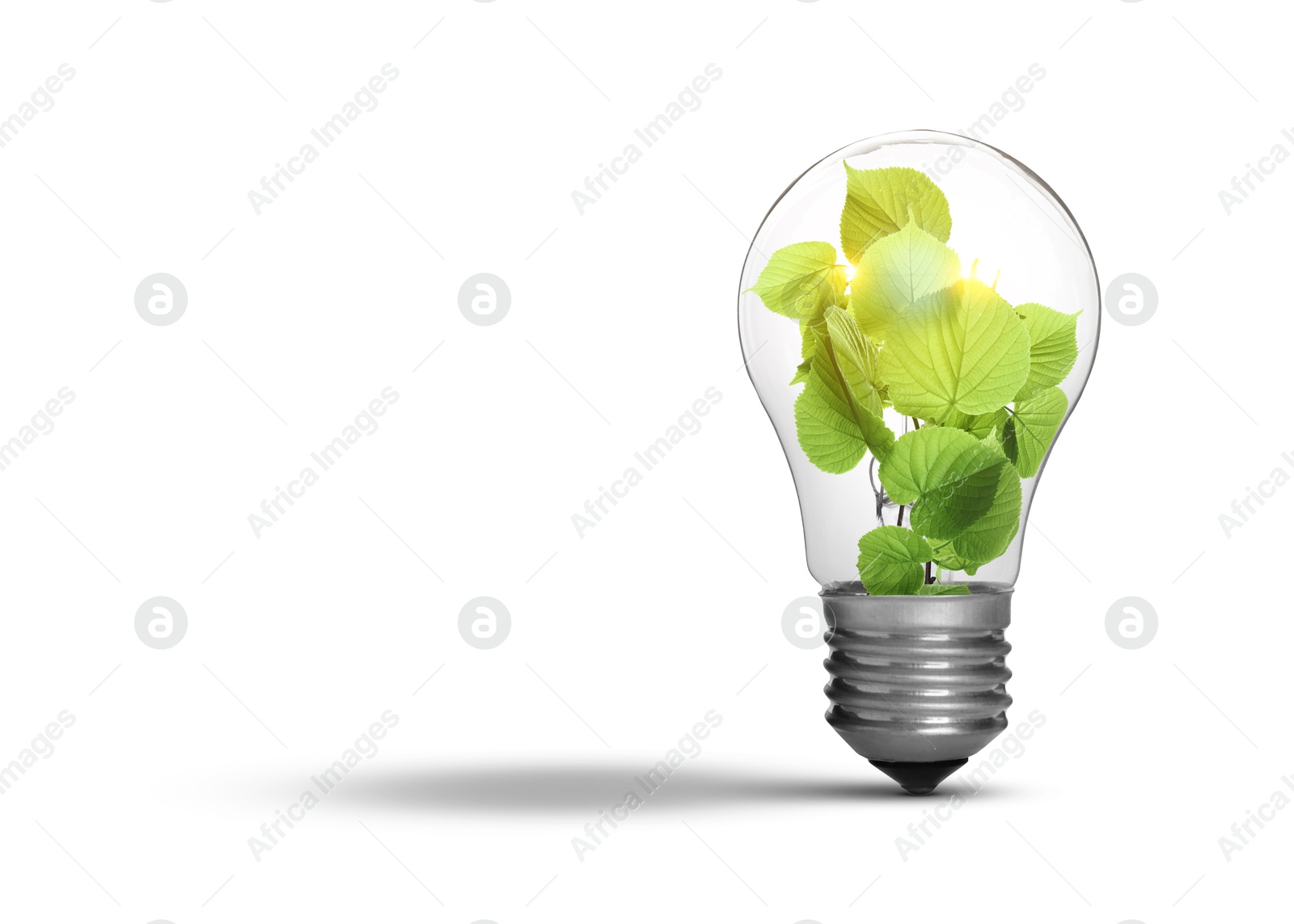 Image of Light bulb with fresh leaves inside on white background, space for text. Concepts of eco-friendly environment and saving energy