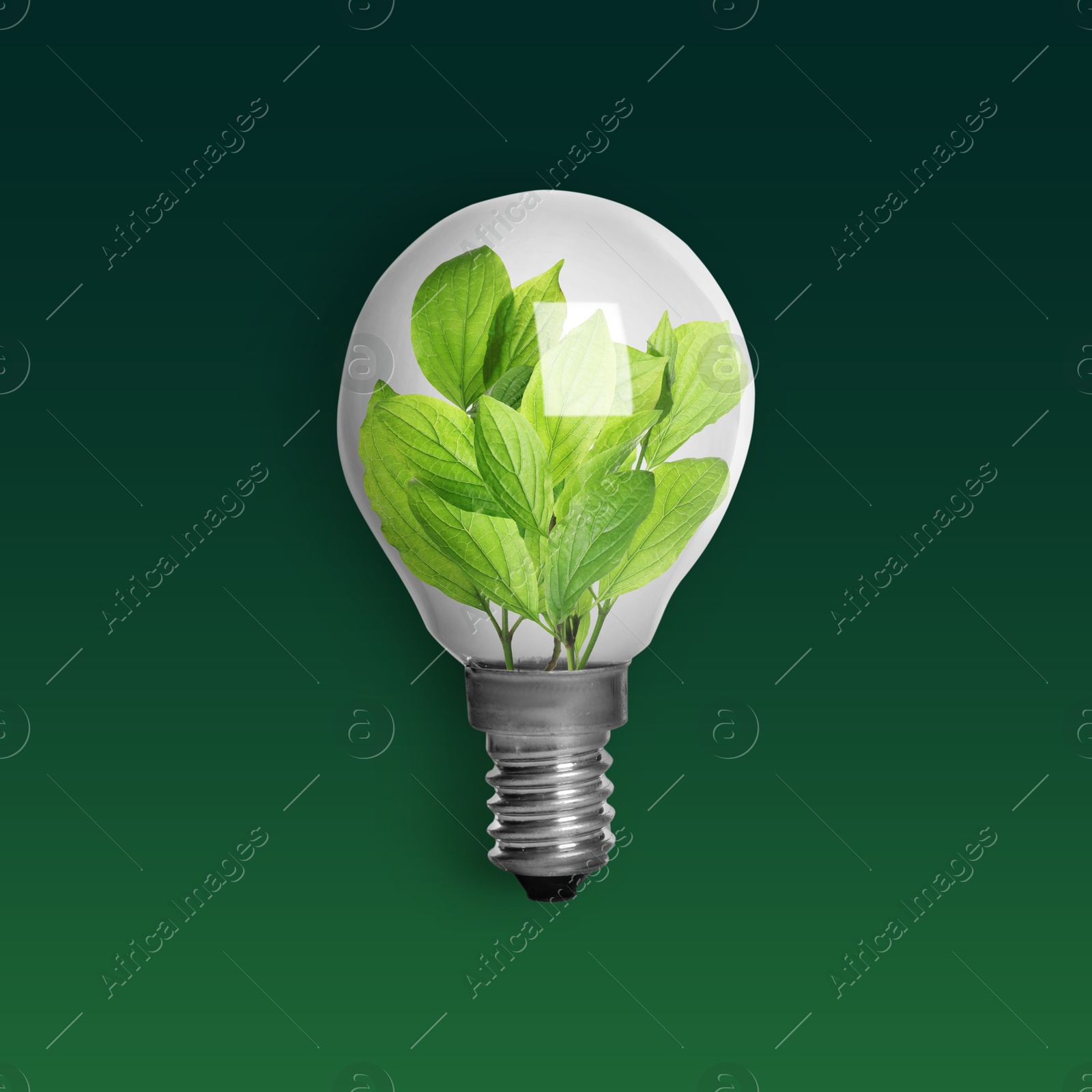 Image of Light bulb with fresh leaves inside on green background. Concepts of eco-friendly environment and saving energy