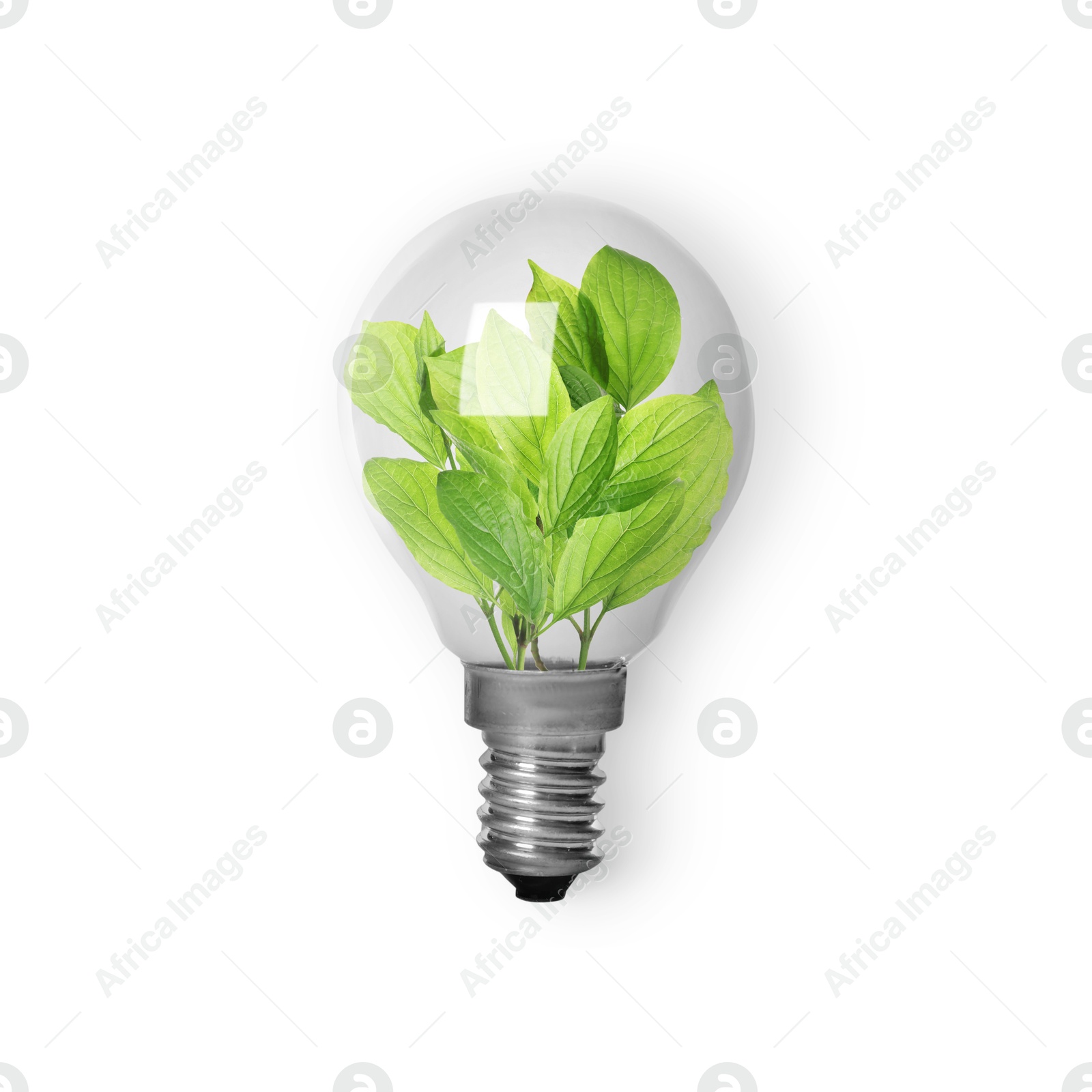 Image of Light bulb with fresh leaves inside on white background, top view. Concepts of eco-friendly environment and saving energy