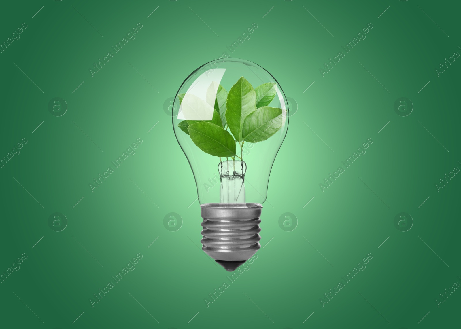 Image of Light bulb with fresh leaves inside in air on green background. Concepts of eco-friendly environment and saving energy