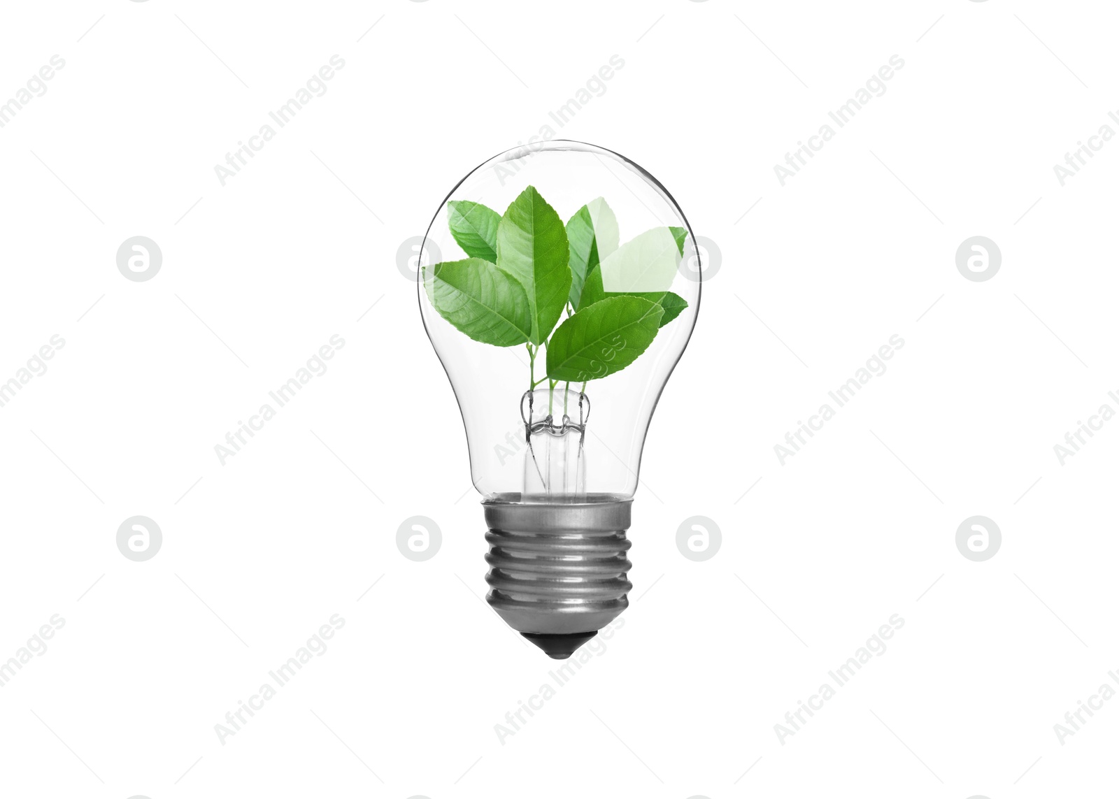 Image of Light bulb with fresh leaves inside in air on white background. Concepts of eco-friendly environment and saving energy