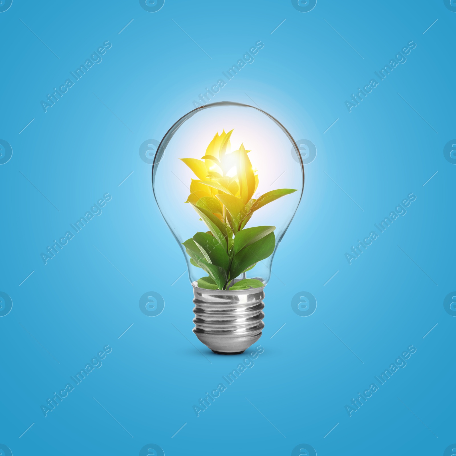 Image of Light bulb with fresh leaves inside on light blue background. Concepts of eco-friendly environment and saving energy