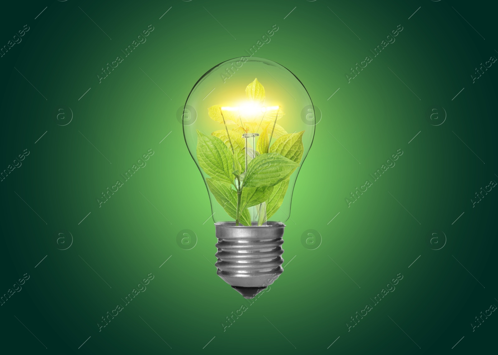 Image of Light bulb with fresh leaves inside in air on green gradient background. Concepts of eco-friendly environment and saving energy