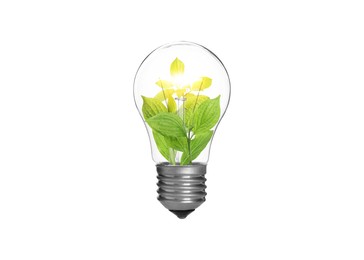 Image of Light bulb with fresh leaves inside in air on white background. Concepts of eco-friendly environment and saving energy