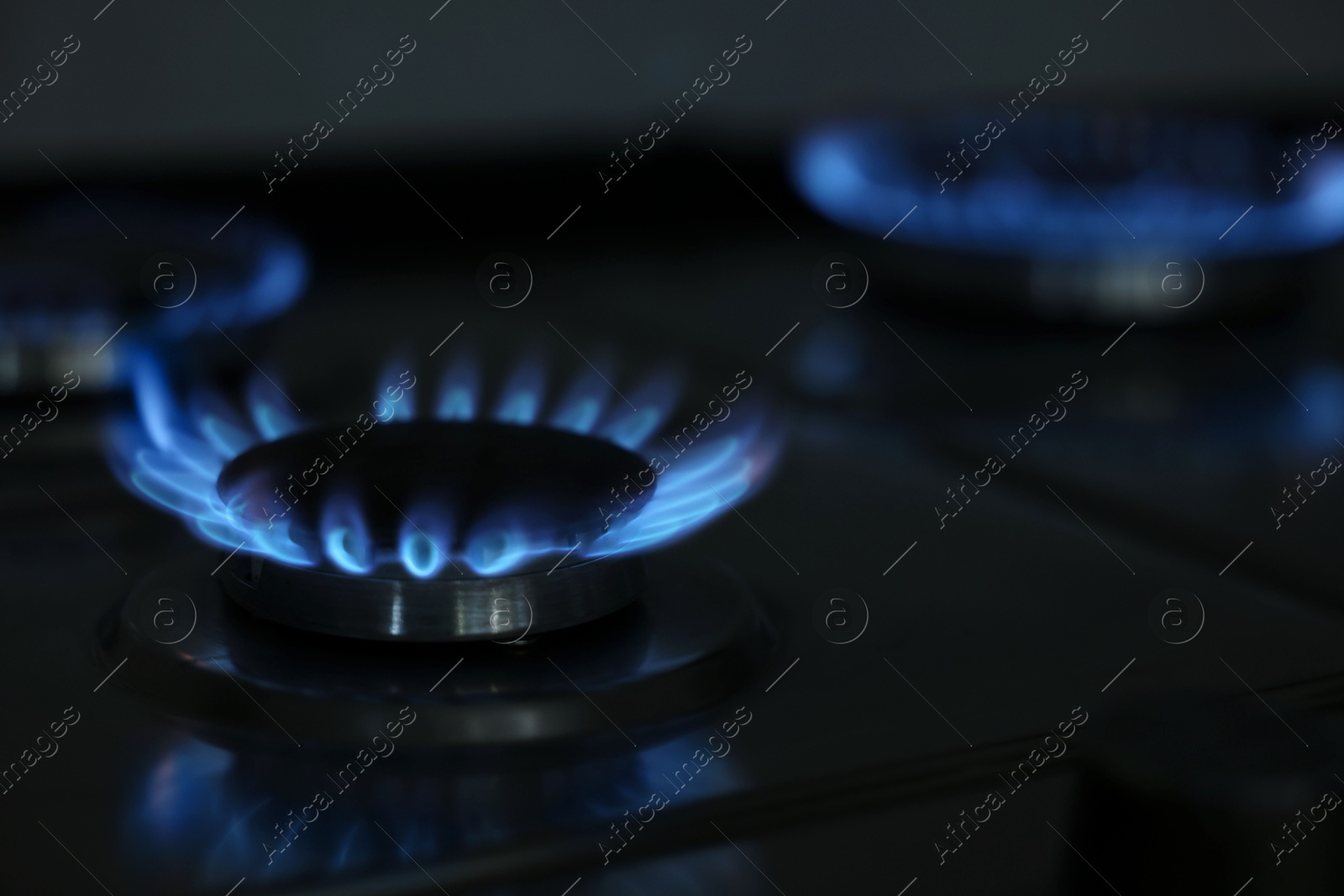 Photo of Gas burners with blue flame on stove, closeup