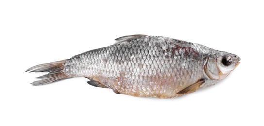 Dried salted roach fish isolated on white, top view