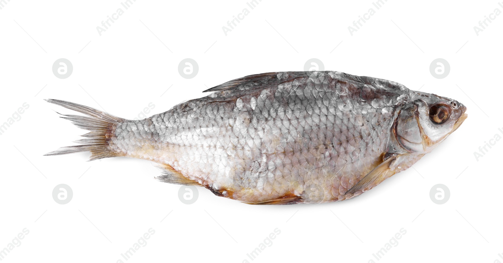 Photo of Dried salted roach fish isolated on white, top view