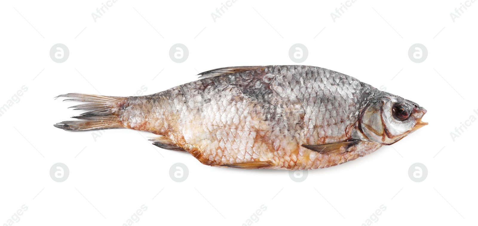 Photo of Dried salted roach fish isolated on white, top view