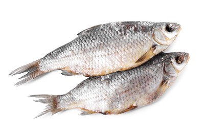 Photo of Dried salted roach fish isolated on white, top view