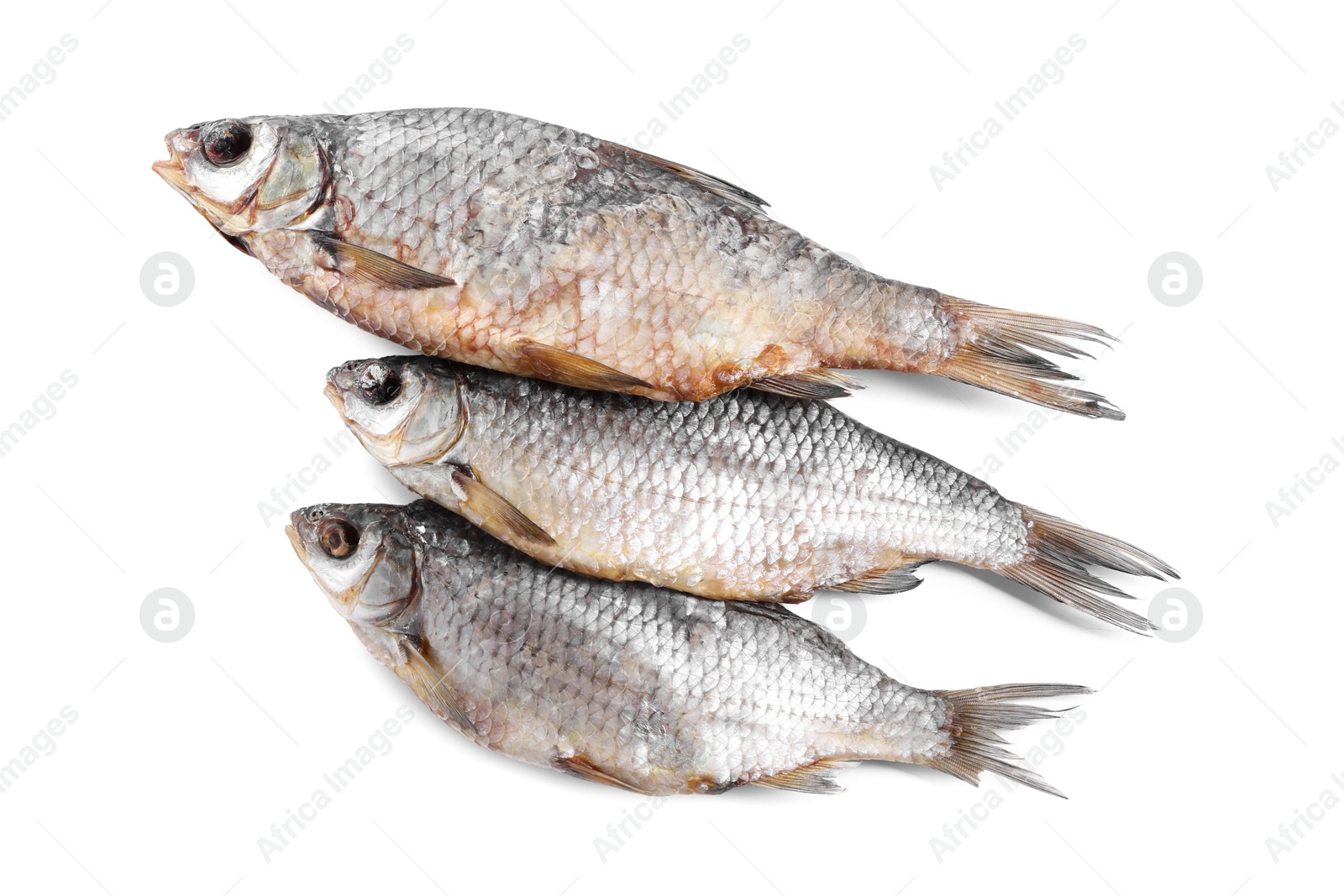 Photo of Dried salted roach fish isolated on white, top view