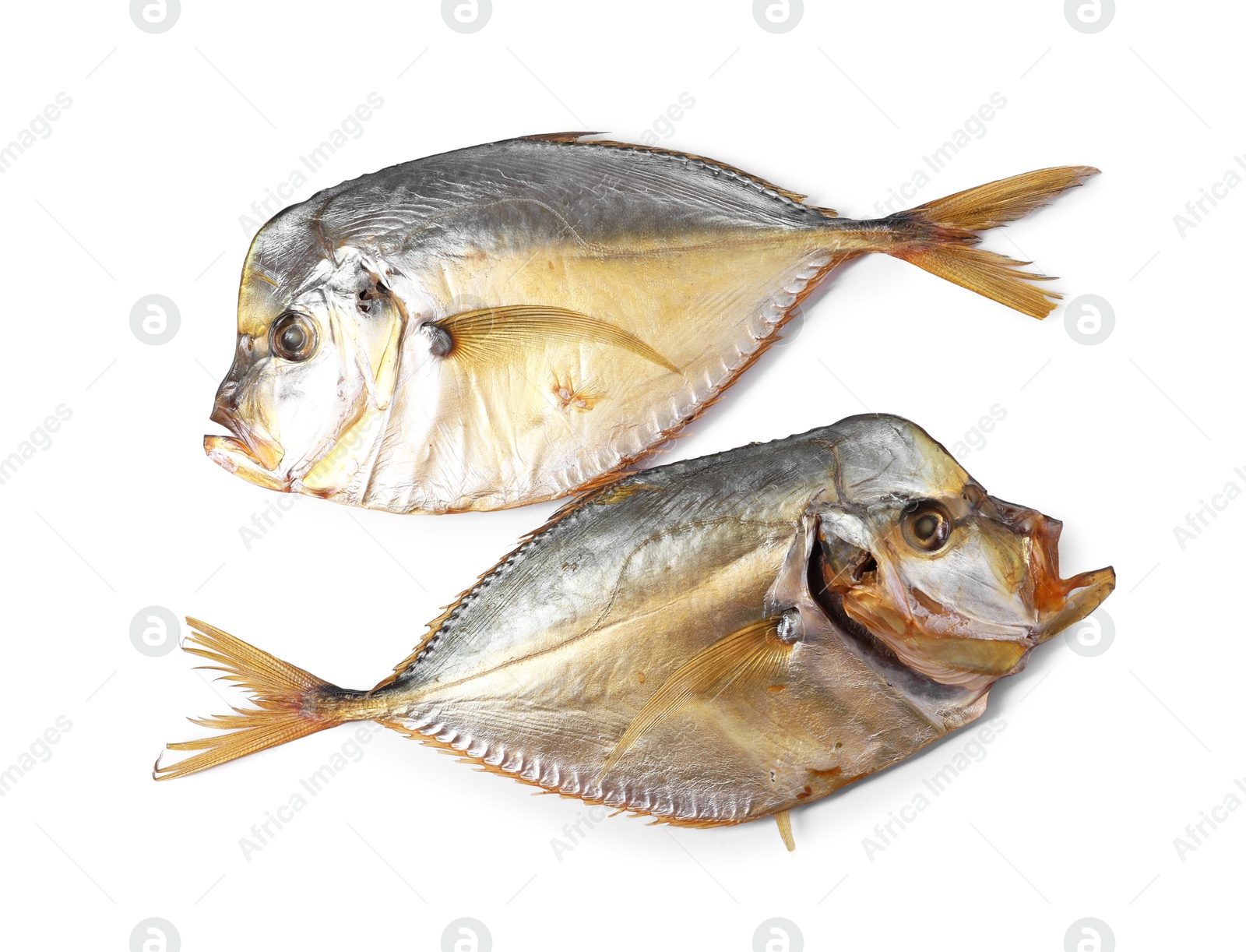 Photo of Dried moonfish isolated on white, top view