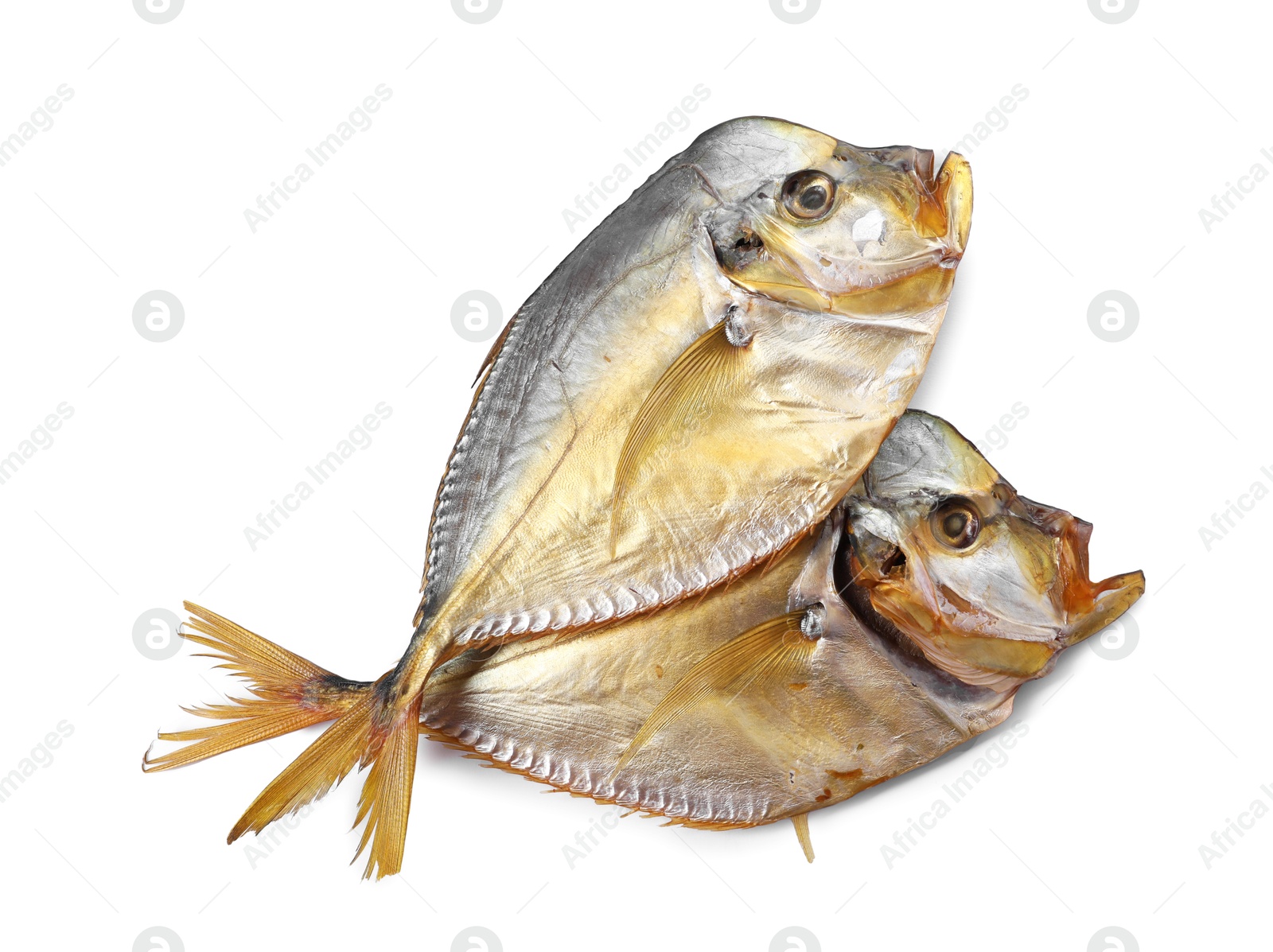 Photo of Dried moonfish isolated on white, top view