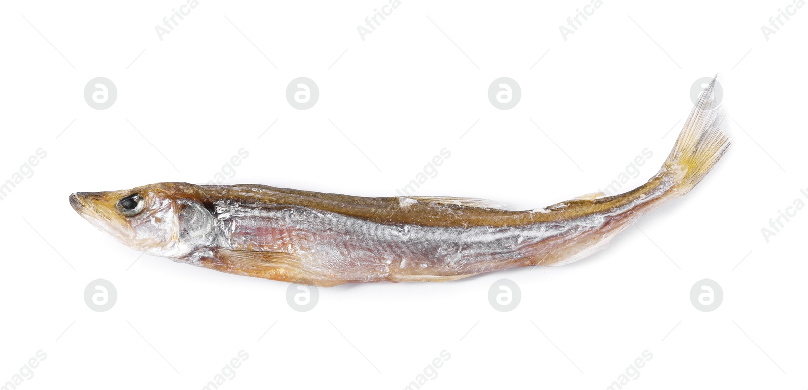 Photo of Dried salted smelt fish isolated on white