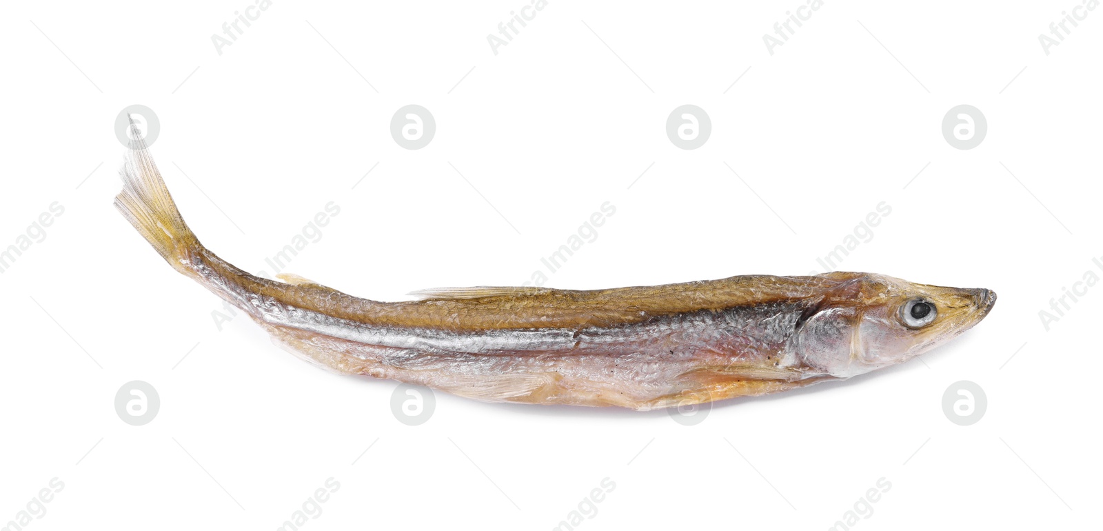 Photo of Dried salted smelt fish isolated on white