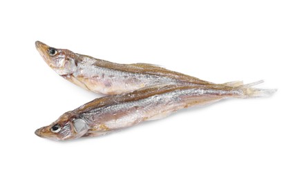 Dried salted smelt fish isolated on white