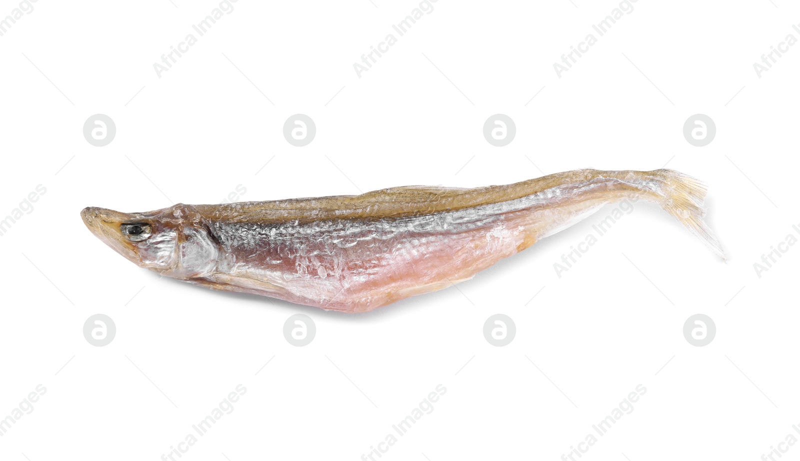 Photo of Dried salted smelt fish isolated on white