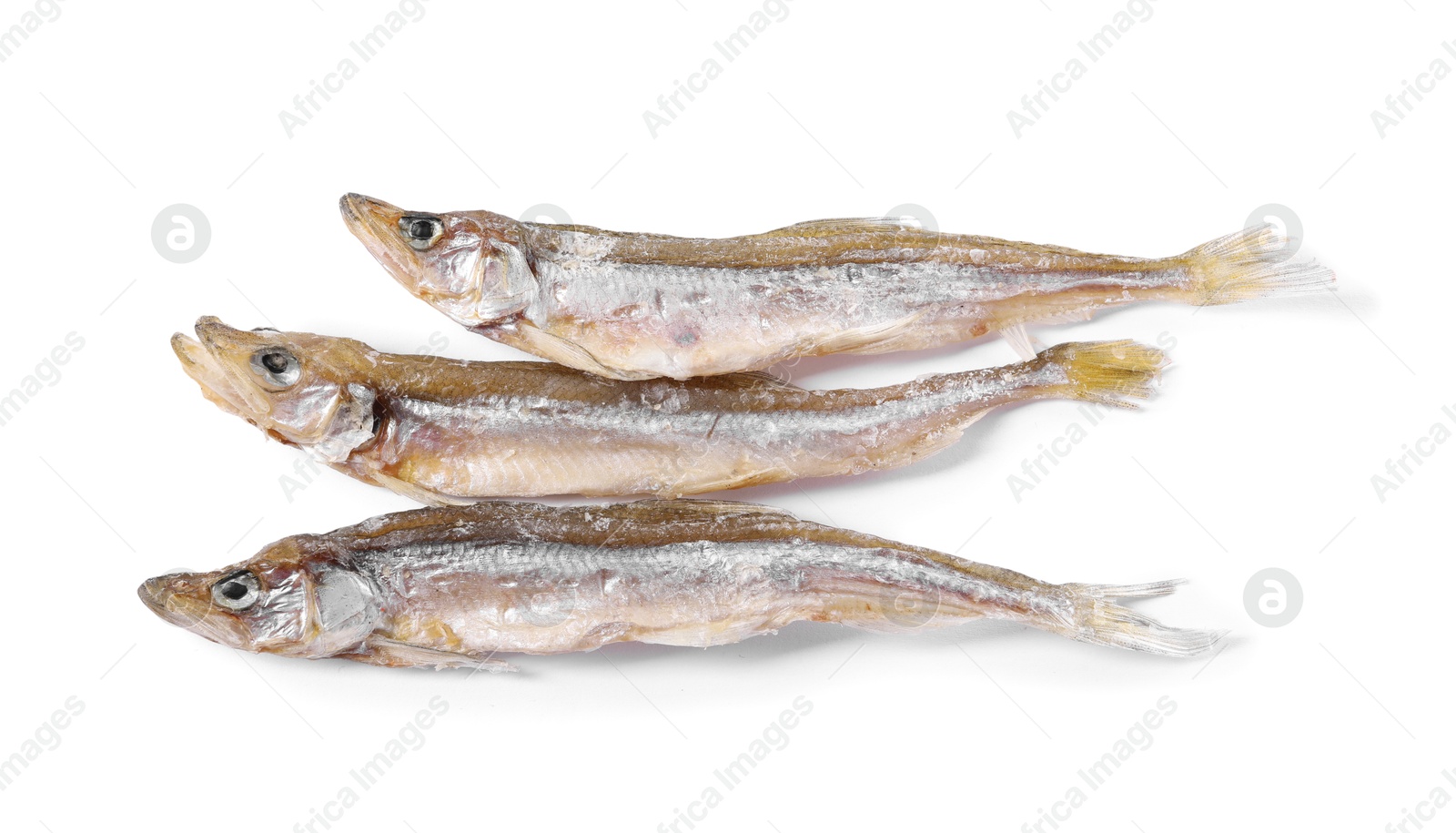 Photo of Dried salted smelt fish isolated on white