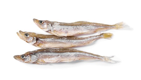 Dried salted smelt fish isolated on white