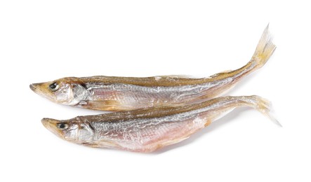 Photo of Dried salted smelt fish isolated on white